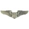 EagleEmblems P12645 Wing-USAF,FLT.Surgeon,BAS (Mini) (1.25'')